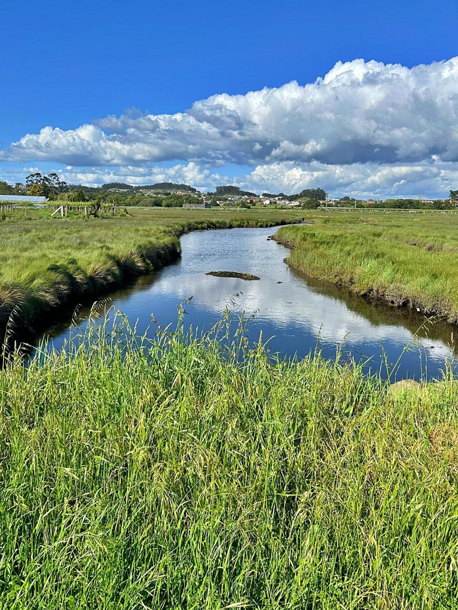 Marismas Do Umia - Apartamentos Turisticos Cambados Δωμάτιο φωτογραφία